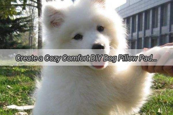 Create a Cozy Comfort DIY Dog Pillow Padding  A Pawsitively Perfect Project